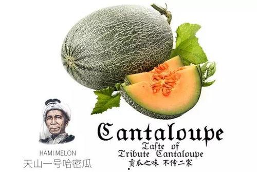 娱乐吃瓜配乐推荐一下,盘点热门配乐推荐